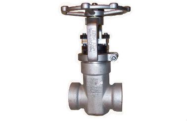 Flowserve Anchor/Darling Split Wedge Gate Valve